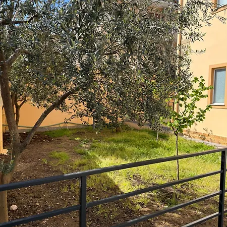 Olivea Tirana
